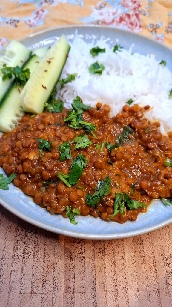 Brown Lentil Curry