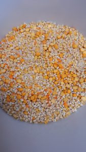 Lentils to be washed