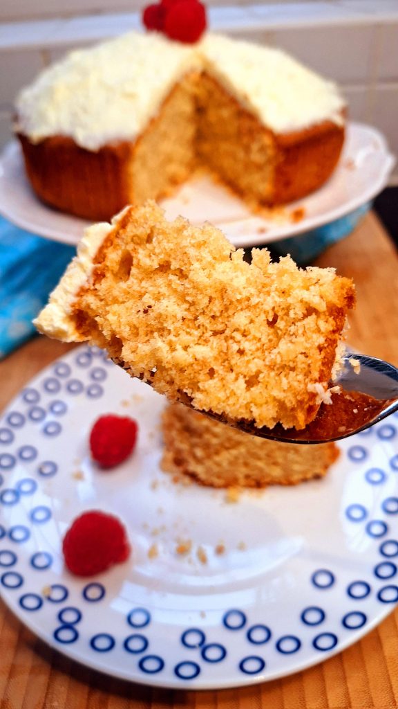 Moist coconut cake with shredded coconut